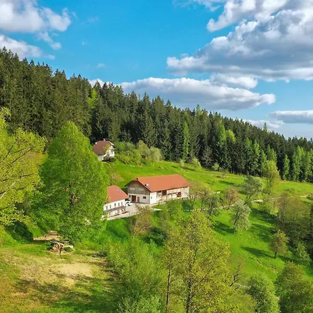 Richterberg With Sauna & Hot Tub Počitniška hiša