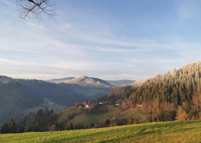 別荘 Richterberg With Sauna & Hot Tub *