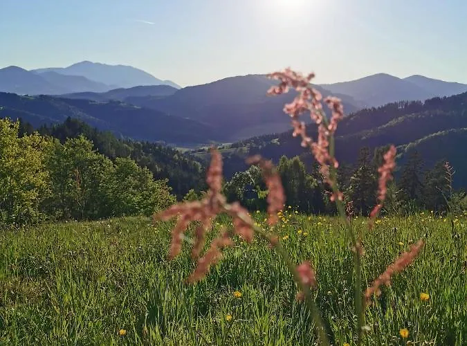 別荘 Richterberg With Sauna & Hot Tub スロヴェニ・グラデツ