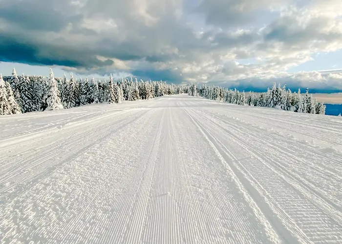 Richterberg With Sauna & Hot Tub * スロヴェニ・グラデツ